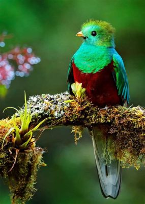  Quacking Quetzal! A Tiny Jewel that Dazzles with its Shimmering Wings